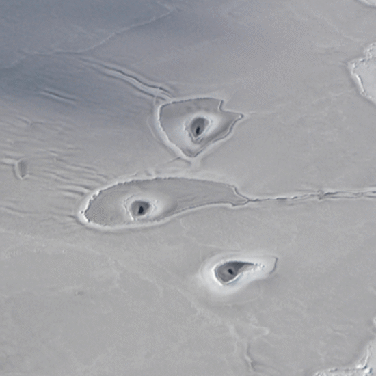 These Mysterious Circles in the Arctic Ocean Have NASA Scientists Baffled