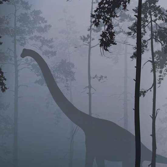 The Lost World: Mysterious Accounts of Living Dinosaurs in South America