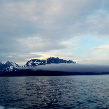 Evidence of a Lost Human Civilization Discovered Under the North Sea