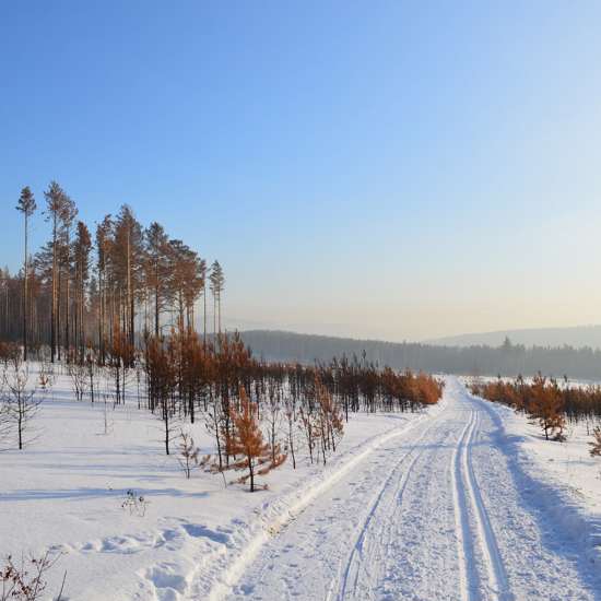 A Mysterious Woman Has Been Walking Siberia’s ‘Road of Bones’ For Months