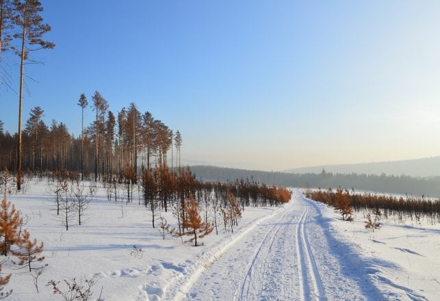 A Mysterious Woman Has Been Walking Siberia’s ‘Road of Bones’ For Months