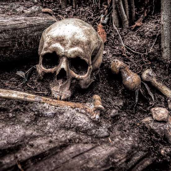 Skeletons are Rising on New York’s Haunted Island of the Dead