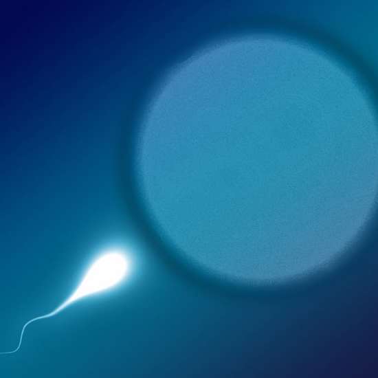 There’s Sperm Traveling Through Space and It Belongs to NASA