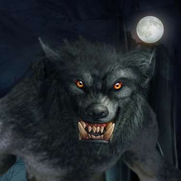 From Paradise to Terror: Werewolf!