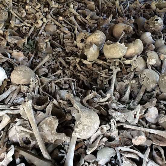 Big Barbarian Boneyard Found in Denmark Bog