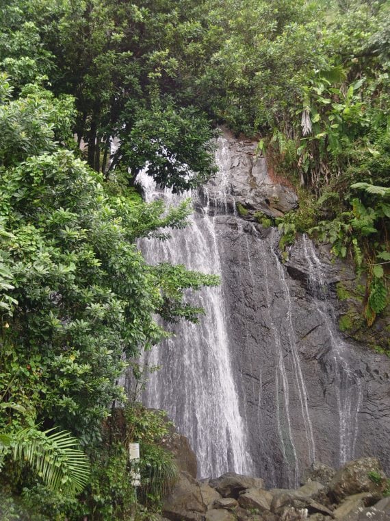 Yunque waterfall 570x760