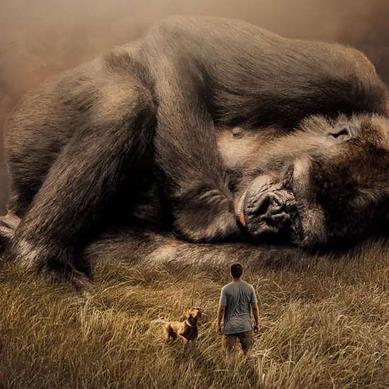 “Buckeye Beasts” Reviewed: Bigfoot & Wild Men