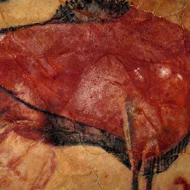 The Really Good Ice Age Cave Artists May Have Been Autistic