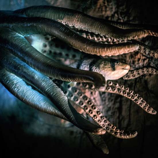 Dozens of Bizarre New Deep Sea Creatures Discovered in Indonesia