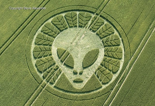 Crop alien 640x437