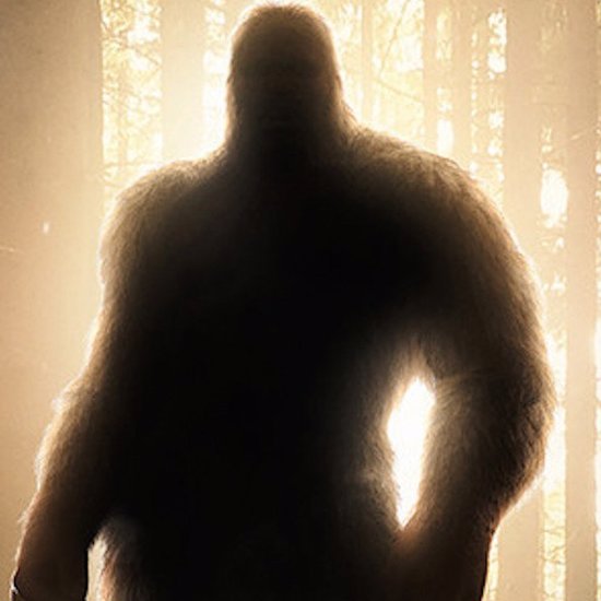 Mysterious Encounters with Bigfoot at Military Bases