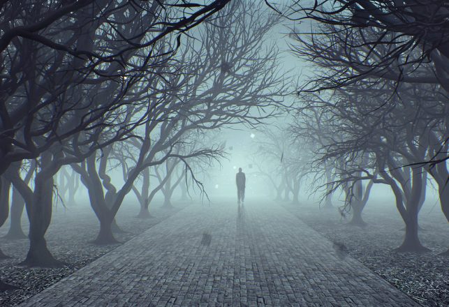 The Matter of Paranormal Mist and Fog – and of Strange Creatures