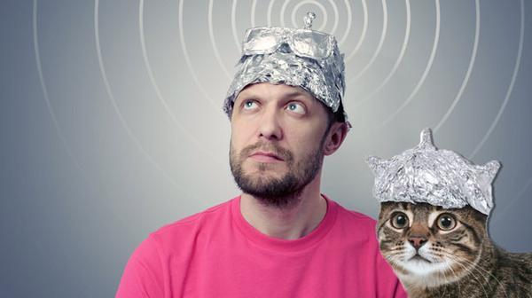 tinfoil hat and tinfoil cat