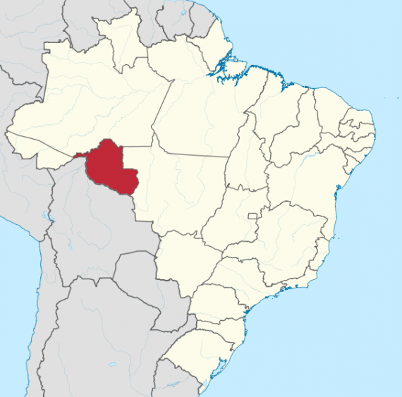 607px Rondonia in Brazil svg  570x563