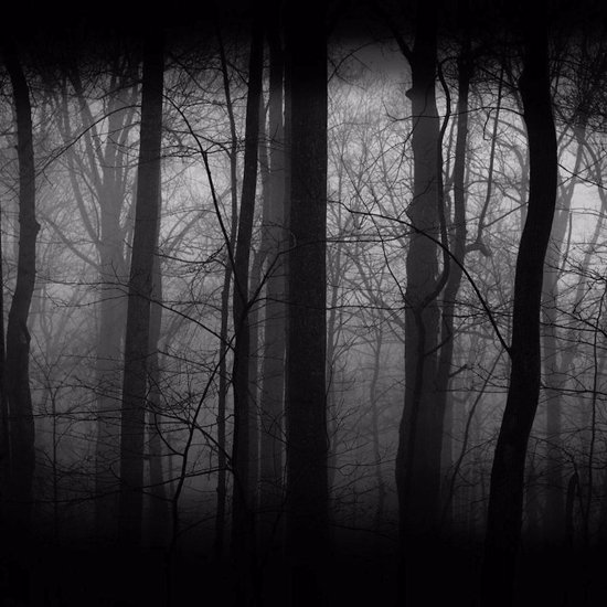 Mysterious Woods, a Sinister Military Character and Demonic Possession. John Keel, too!