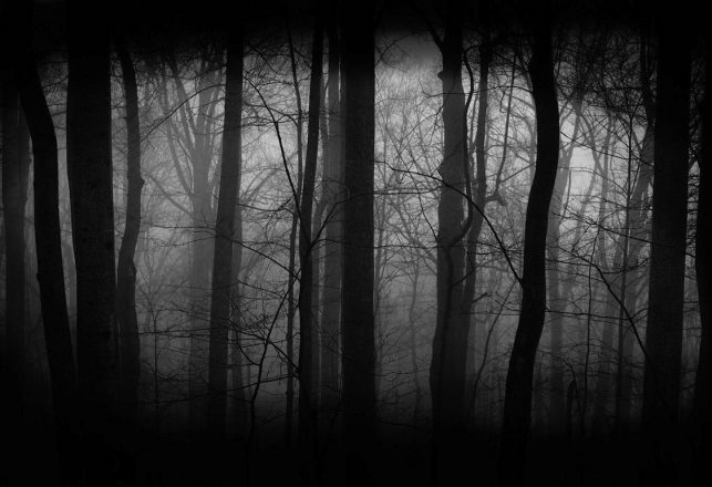 Mysterious Woods, a Sinister Military Character and Demonic Possession. John Keel, too!