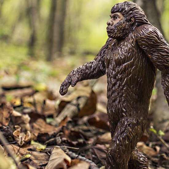 “The Essential Guide to Bigfoot” – A New Book Reviewed