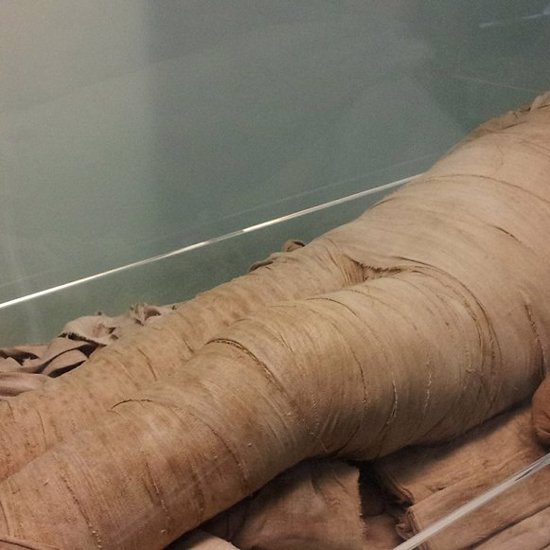 Secret Mummy Laboratory Found in Egypt