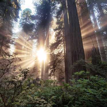 Mysterious Vanishings in Humboldt County, California