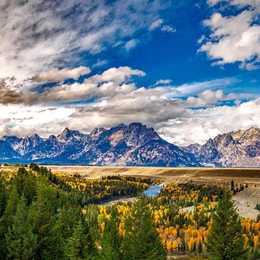 Giant Bird Reported Near Yellowstone as Giant Crack Closes Grand Teton Park