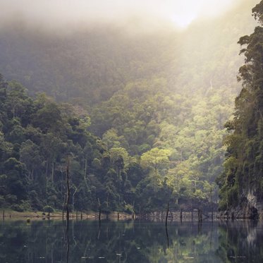 Last Member of a Lost Tribe Still Survives in Brazil