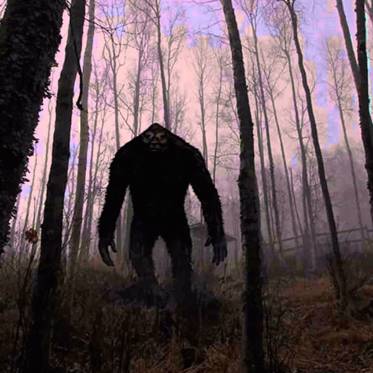 Bigfoot as an Interdimensional Interloper