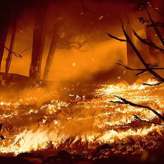Mysterious Forest Fires and the Paranormal