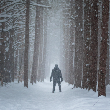 Bizarre Wilderness Encounters with the Weird