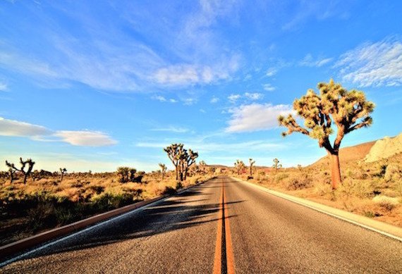 Make a Trip to the Mesmerizing Mojave Desert