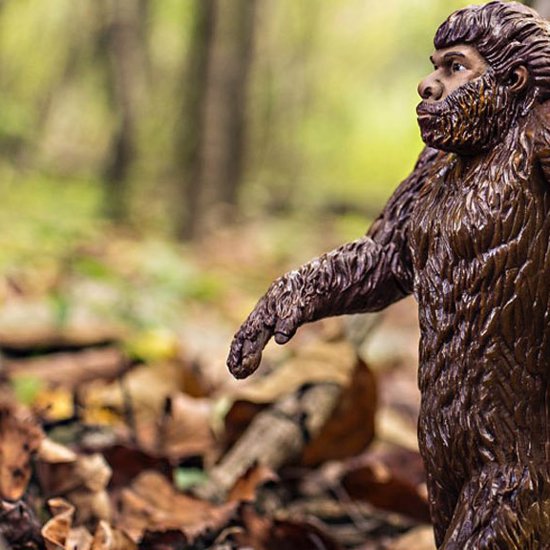 Mini Bigfoot May Be Roaming Around Northern Florida