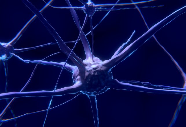 Mysterious Newly Discovered “Rosehip” Brain Cell Could be Key to Human Consciousness