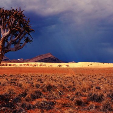 Mysterious Vanishings on Australia’s Highway of Death