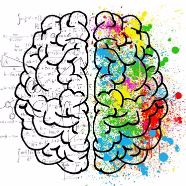 Boy Who Had One Sixth of His Brain Removed Shows Normal Cognitive Function and “Above Average” Reading Level