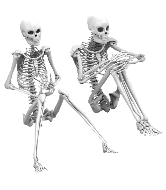 skeleton 2952199 640