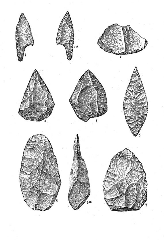 stone tools homo erectus 570x836