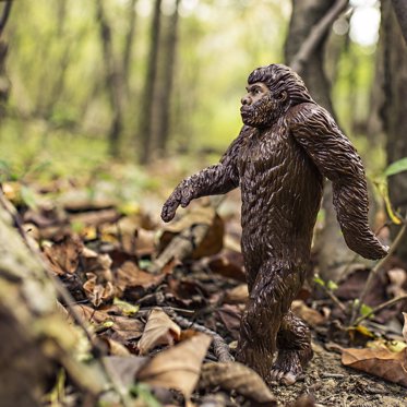 A Standoff Between a Yowie and a Woman Armed With a Cricket Bat