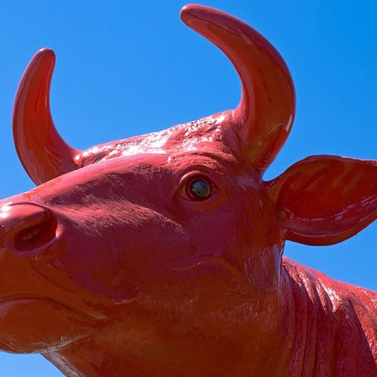 Biblical Phenomena of Sweating Blood and a Red Heifer Appear