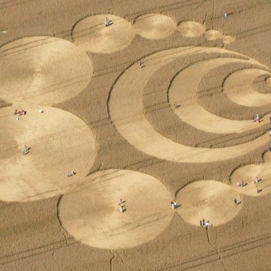 French Crop Circle Draws Crowds and Couples Joining the “Crop Circle Club”