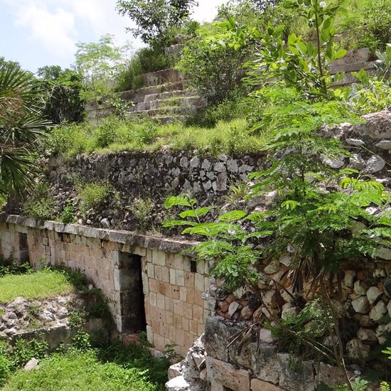Laser Mapping Finds 60,000 Mayan Structures and a Pyramid in Guatemalan Jungle