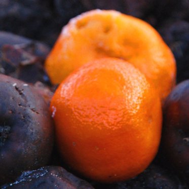 Here’s Why Those Australian Oranges Mysteriously Turned Purple