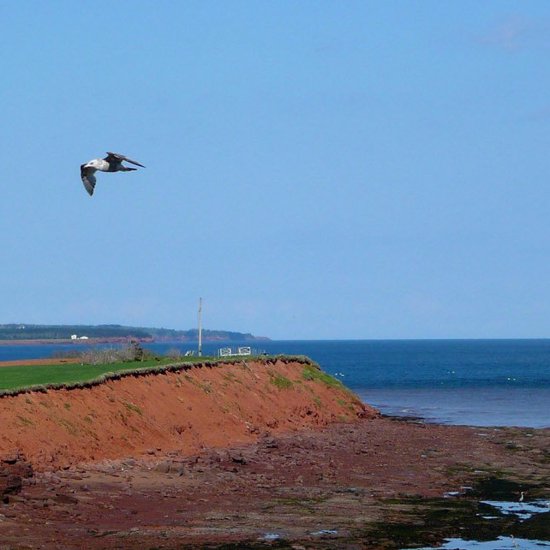 Exploring Canadian Monsters: Prince Edward Island
