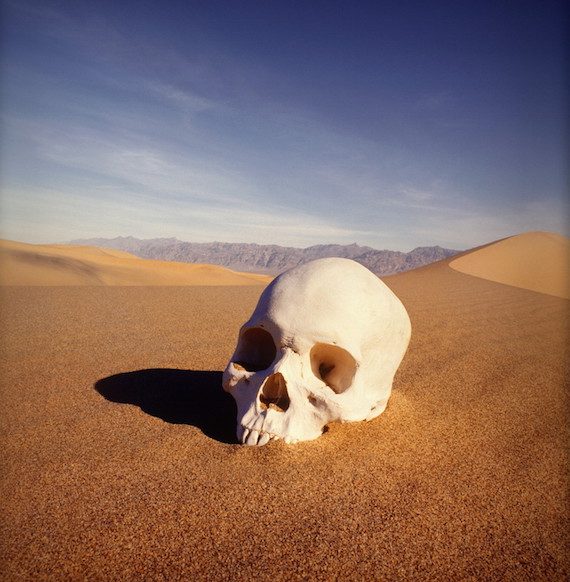skull in desert 570x582