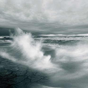 Strange Object Washes Ashore in South Carolina and is Quickly Taken Away