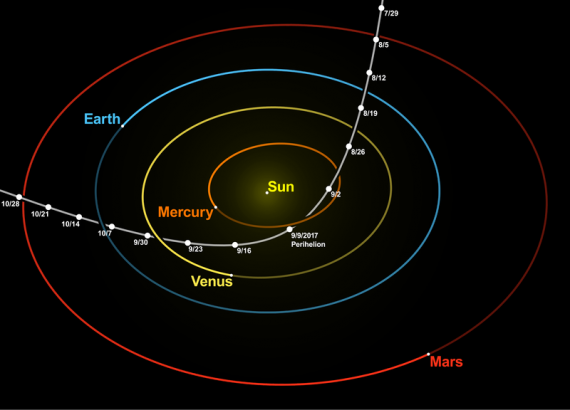 800px Oumuamua orbit at perihelion 570x410