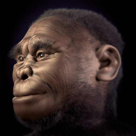 Homo floresiensis v 2 0 570x570