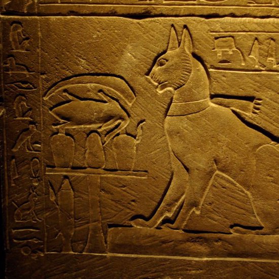 Egyptian Tomb has Mummified Cats and Scarab Beetles and a Sealed Door