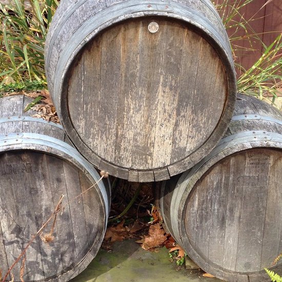 Oldest Scotch Whisky Still Found, Dates Back to 1494