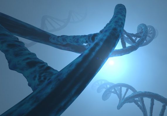 dna genetic modification gmo gene drive UN 570x397