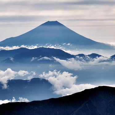 Japan’s Very Own Unknown Animal