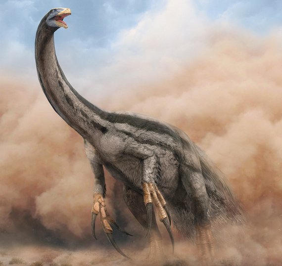 157 therizinosaurus vlad konstantinov